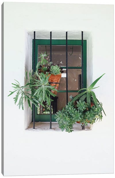 Window With Plants Canvas Art Print - Karen Mandau