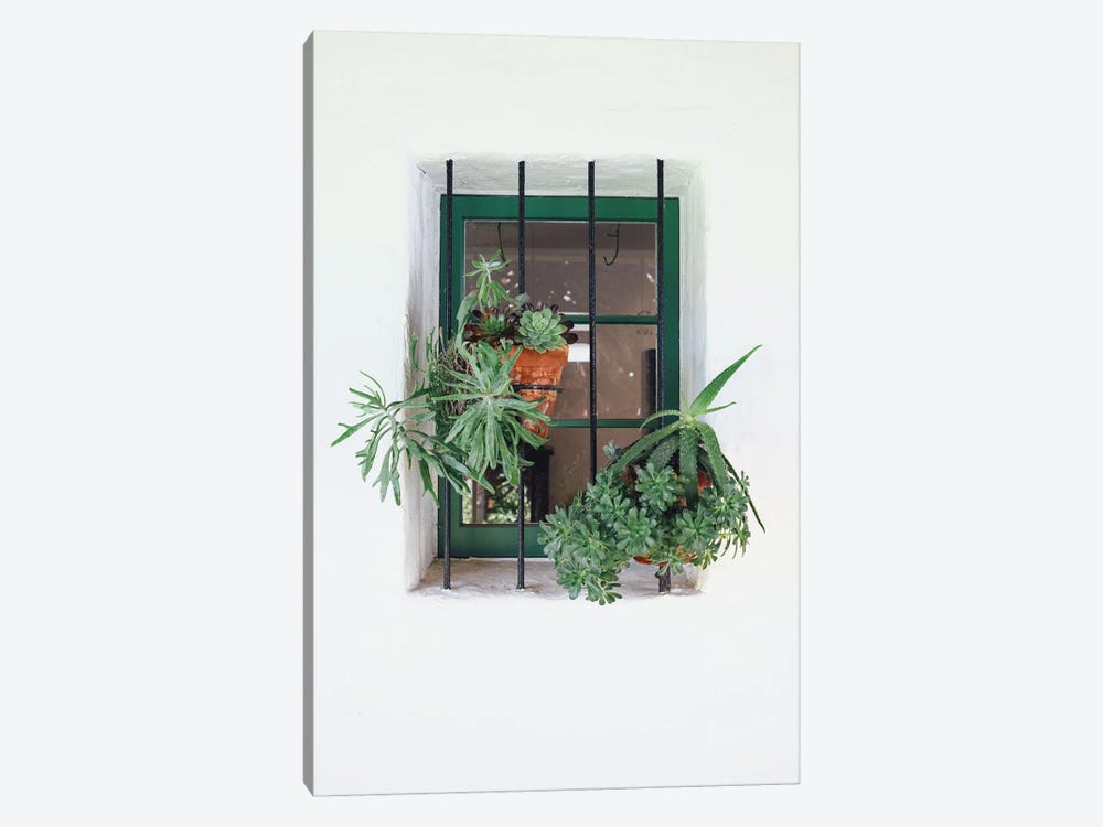 Window With Plants by Karen Mandau 1-piece Art Print