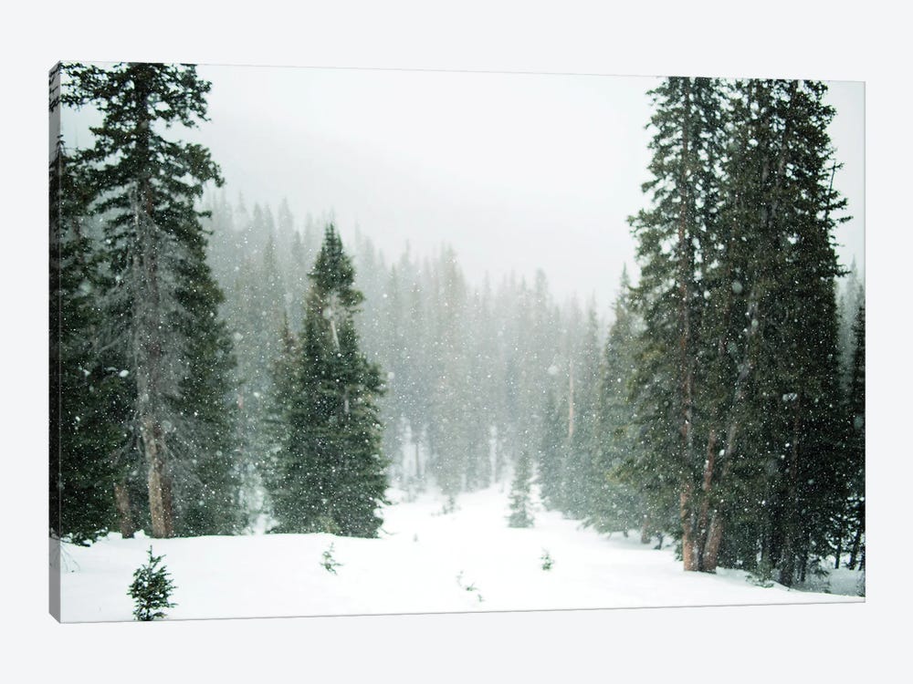 Winter Forest by Karen Mandau 1-piece Canvas Art