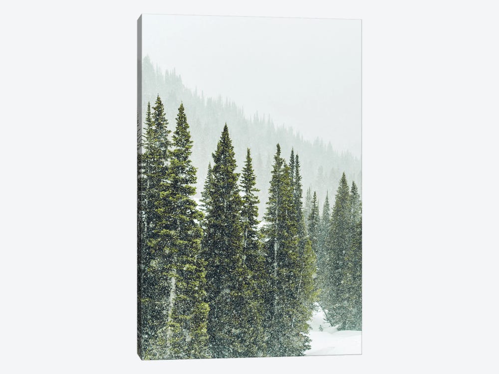 Winter Forest Panorama I by Karen Mandau 1-piece Canvas Print