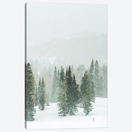 Winter Forest Panorama II Canvas Print #KMD164} by Karen Mandau Canvas Art