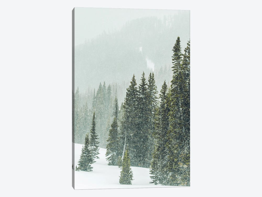 Winter Forest Panorama III by Karen Mandau 1-piece Art Print