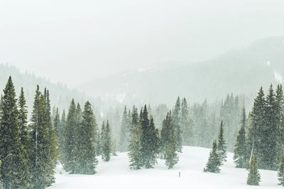 Winter Forest Panorama by Karen Mandau canvas print