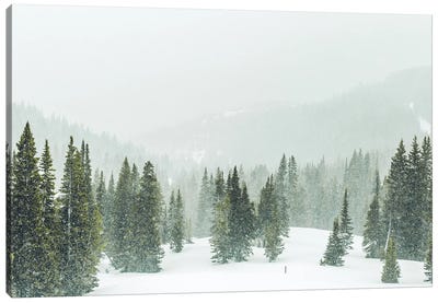 Winter Forest Panorama Canvas Art Print - Rustic Winter