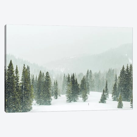 Winter Forest Panorama Canvas Print #KMD166} by Karen Mandau Canvas Artwork
