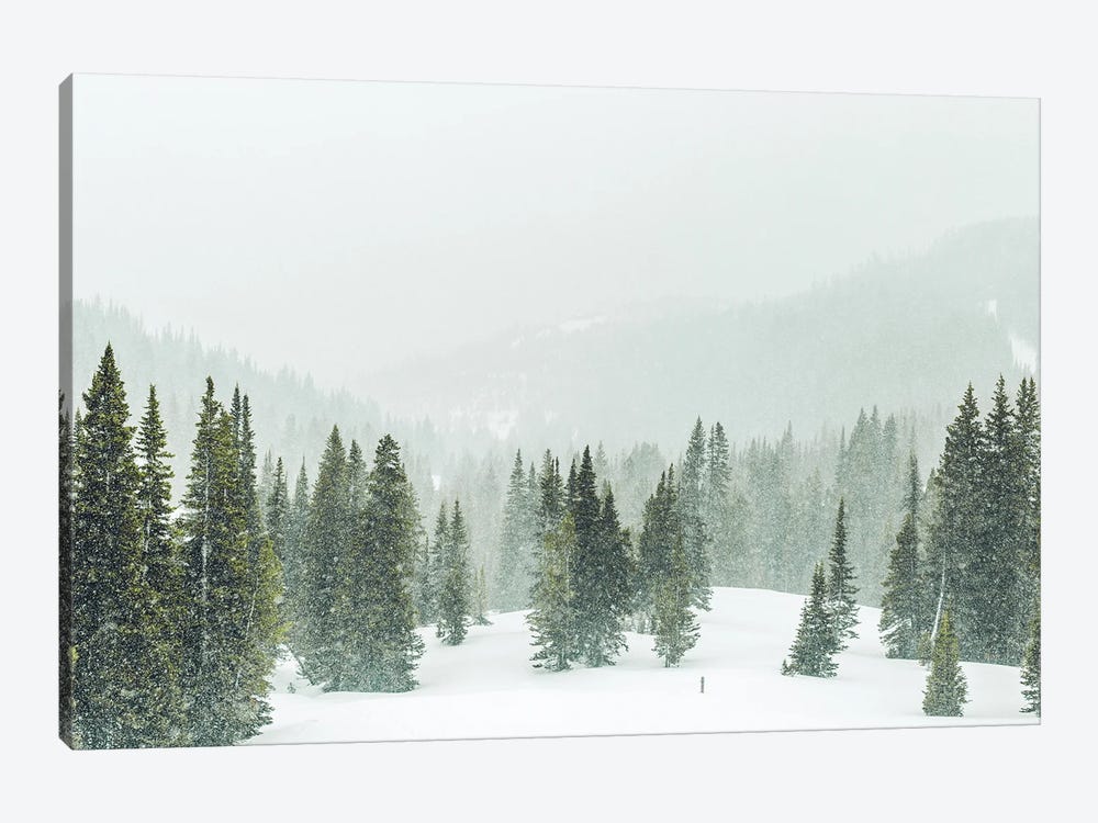 Winter Forest Panorama by Karen Mandau 1-piece Canvas Artwork