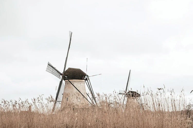 Two Dutch Windmills In A Field