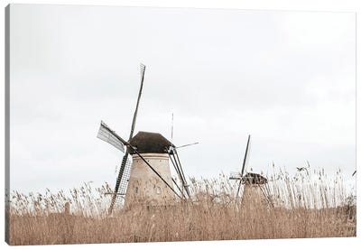 Two Dutch Windmills In A Field Canvas Art Print - Watermill & Windmill Art