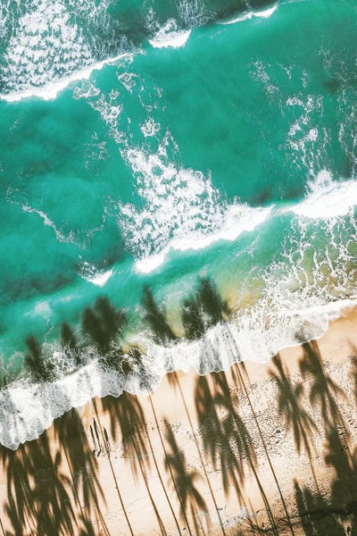 Aerial Beach With Palm Shadows by Karen Mandau art print