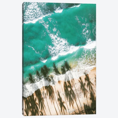 Aerial Beach With Palm Shadows Canvas Print #KMD2} by Karen Mandau Art Print