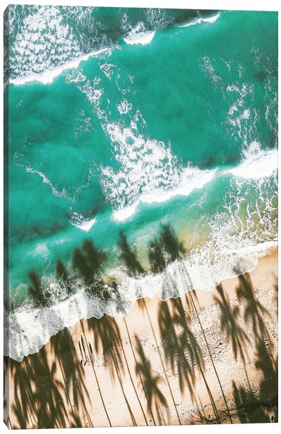Aerial Beach With Palm Shadows Canvas Art Print - Karen Mandau