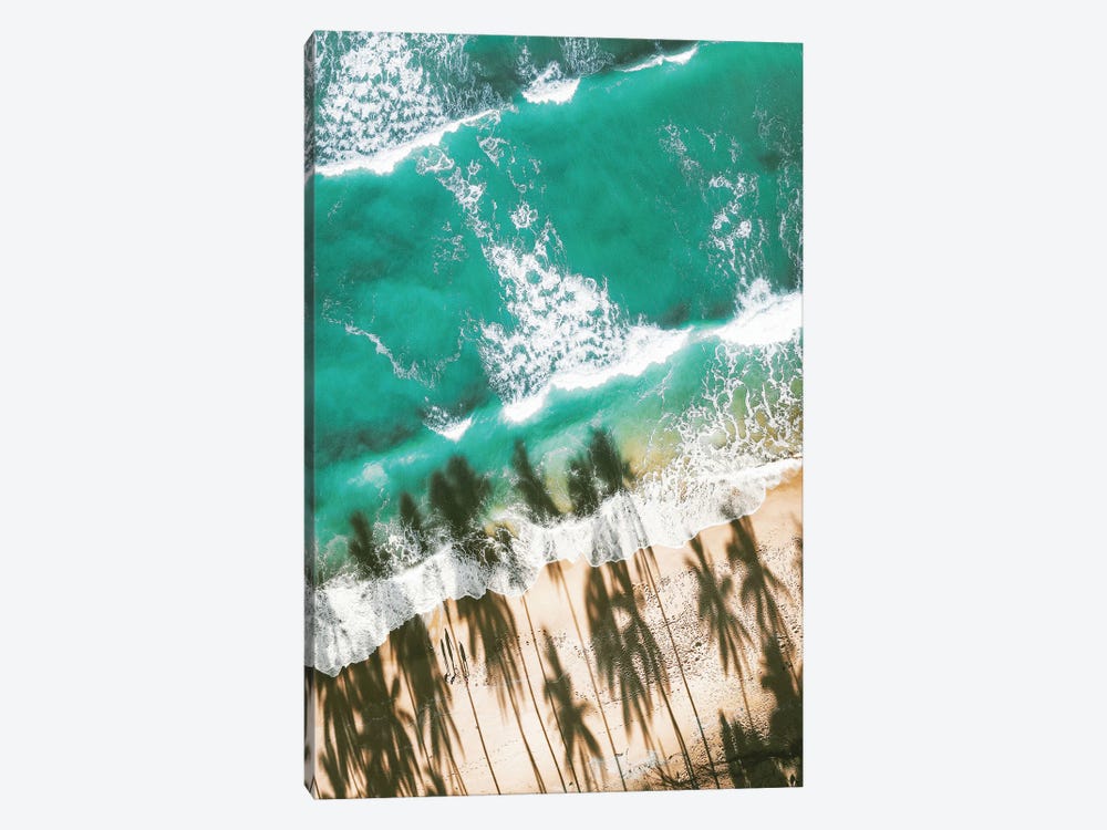 Aerial Beach With Palm Shadows by Karen Mandau 1-piece Canvas Art Print