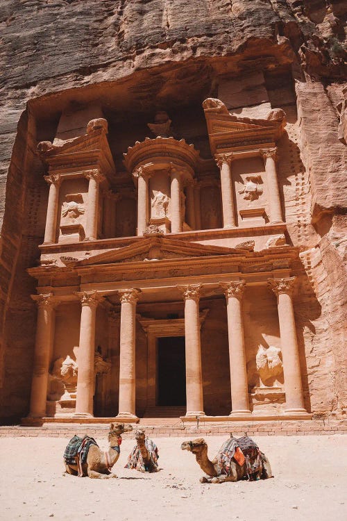 Camels In Petra, Jordan by Karen Mandau wall art