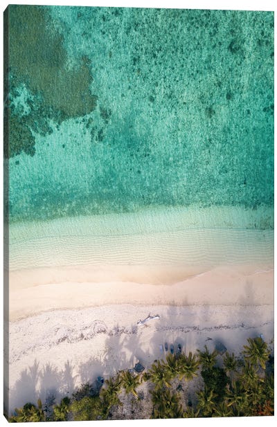 Aerial Beach With Palm Trees Canvas Art Print - Karen Mandau