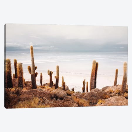 Coastal Cactus Landscape Canvas Print #KMD44} by Karen Mandau Canvas Wall Art
