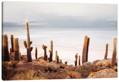 Coastal Cactus Landscape Canvas Art Print - Karen Mandau