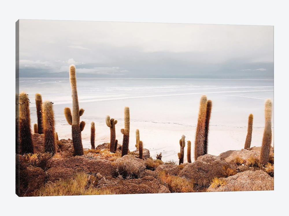 Coastal Cactus Landscape by Karen Mandau 1-piece Canvas Artwork