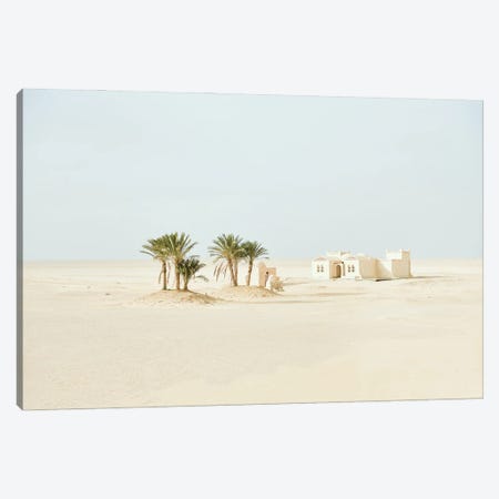 Desert Oasis Canvas Print #KMD49} by Karen Mandau Canvas Print