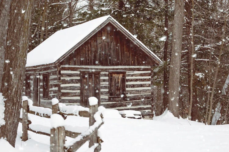 Forest Log Cabin In The Snow