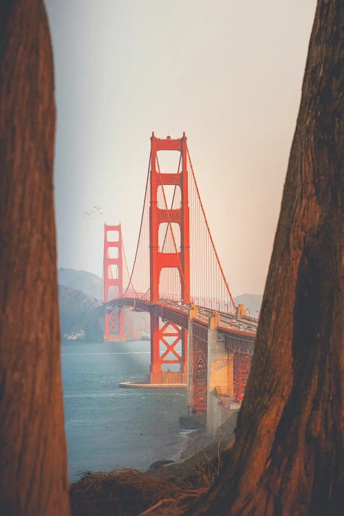 Golden Gate Bridge With Sequoia Trees