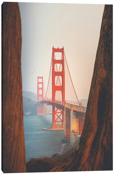 Golden Gate Bridge With Sequoia Trees Canvas Art Print - Karen Mandau