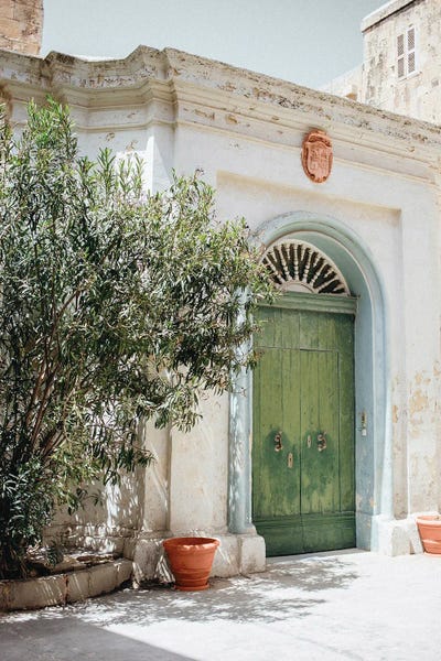 Green Door In Italy by Karen Mandau art print