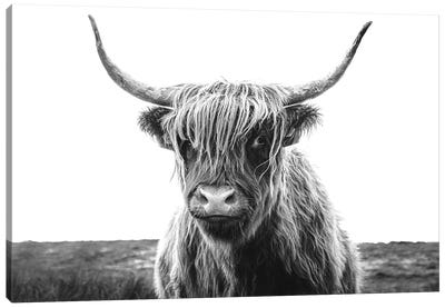 Highland Cow Black And White Canvas Art Print - Black & White Animal Art