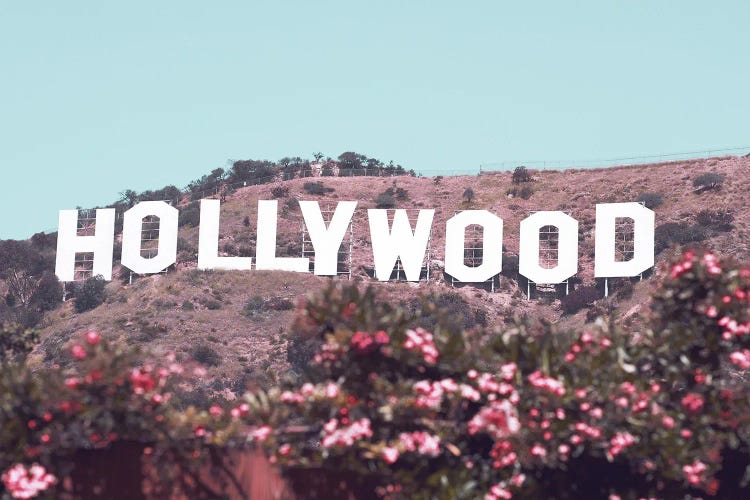 Hollywood Sign With Flowers by Karen Mandau wall art