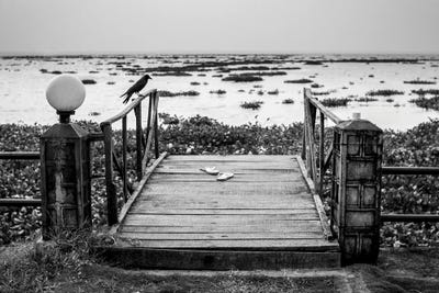 Jetty With A Raven by Karen Mandau art print