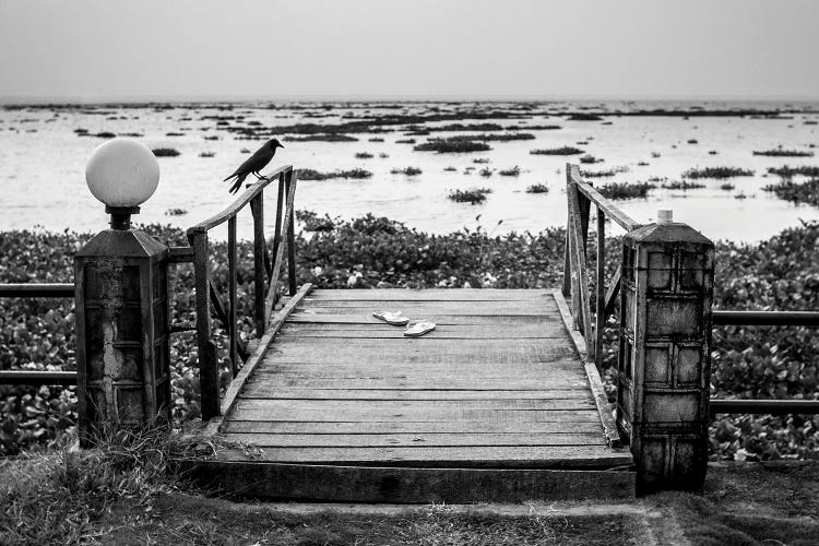 Jetty With A Raven