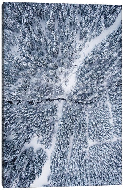 Aerial Photo Of A Winter Forest Canvas Art Print - Karen Mandau