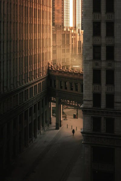 New York Buildings by Karen Mandau art print