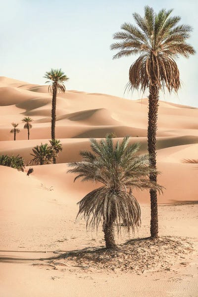 Palm Trees In The Desert by Karen Mandau art print