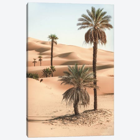 Palm Trees In The Desert Canvas Print #KMD95} by Karen Mandau Canvas Print