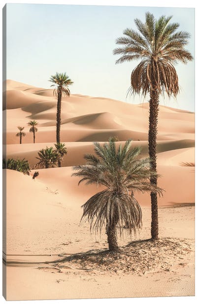 Palm Trees In The Desert Canvas Art Print - Karen Mandau