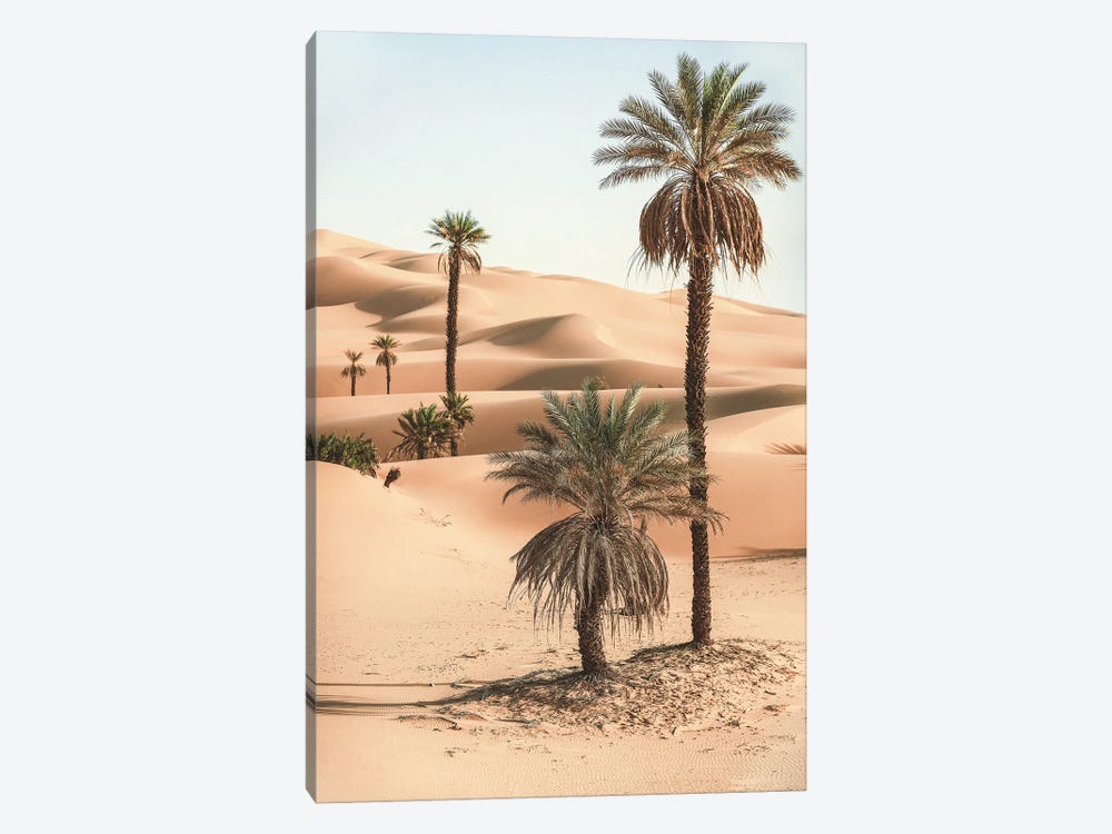 Palm Trees In The Desert by Karen Mandau 1-piece Canvas Wall Art