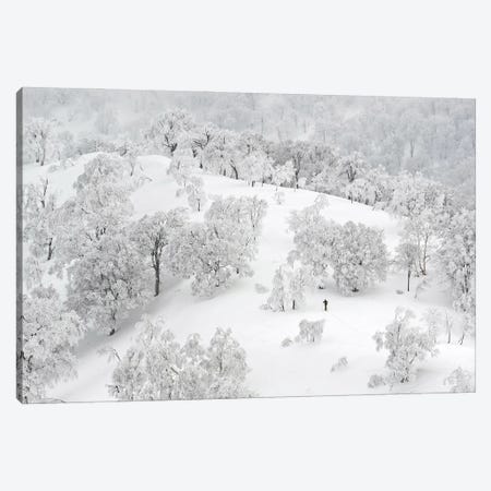 All White Winter Landscape With A Skier Canvas Print #KMD9} by Karen Mandau Art Print