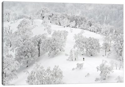 All White Winter Landscape With A Skier Canvas Art Print - Karen Mandau