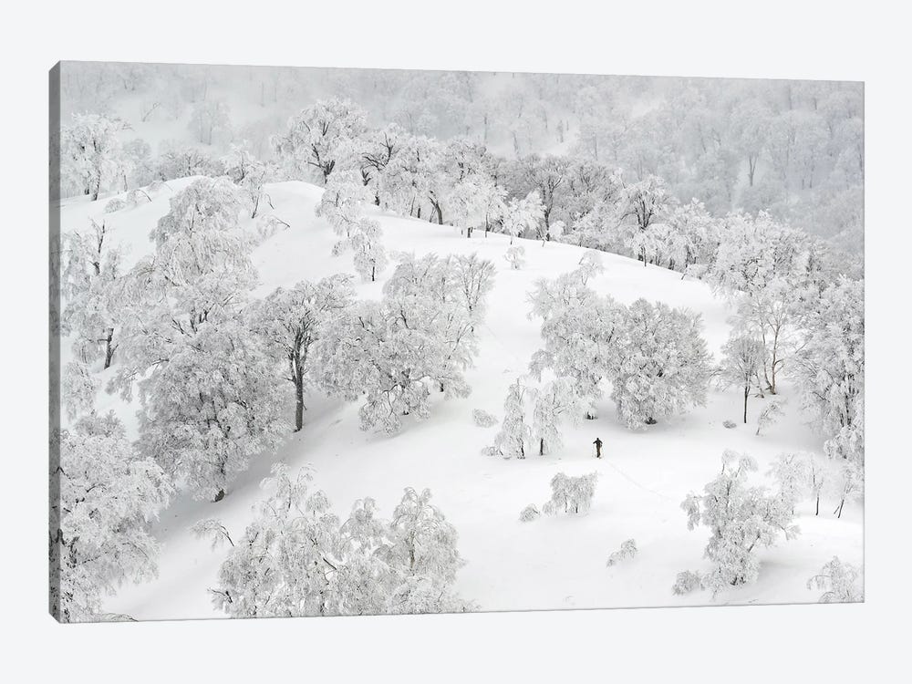 All White Winter Landscape With A Skier by Karen Mandau 1-piece Canvas Artwork