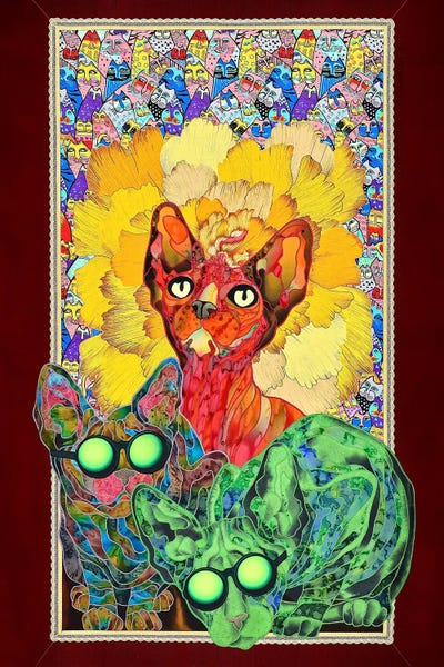 Hairless Cats: Good Evening by Kostyantin Malginov