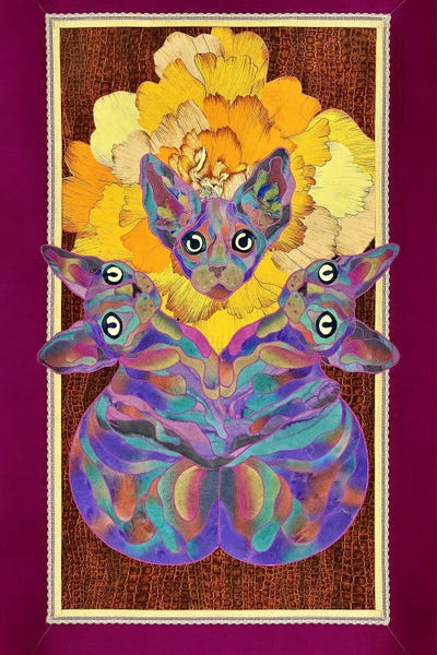 Hairless Cats: Darling by Kostyantin Malginov