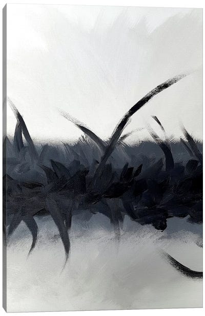 Bliss In Black Canvas Art Print - KR Moehr
