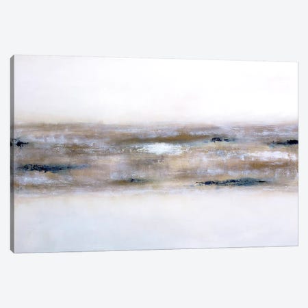 Earthly Textures Canvas Print #KMH64} by KR MOEHR Canvas Artwork