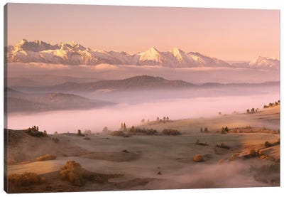 Fog Tatra Canvas Art Print