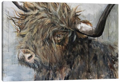 Sweet Cow Canvas Art Print - Highland Cow Art