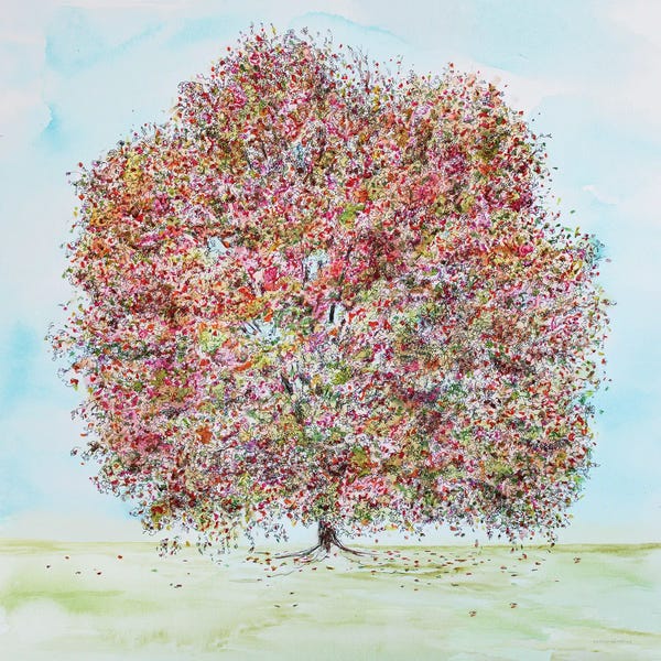 Beech Trees: The Giving Tree by Kamdon Kreations