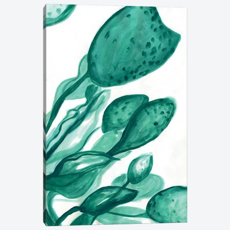 Just A Little More Water Canvas Print #KMK191} by Kamdon Kreations Canvas Artwork