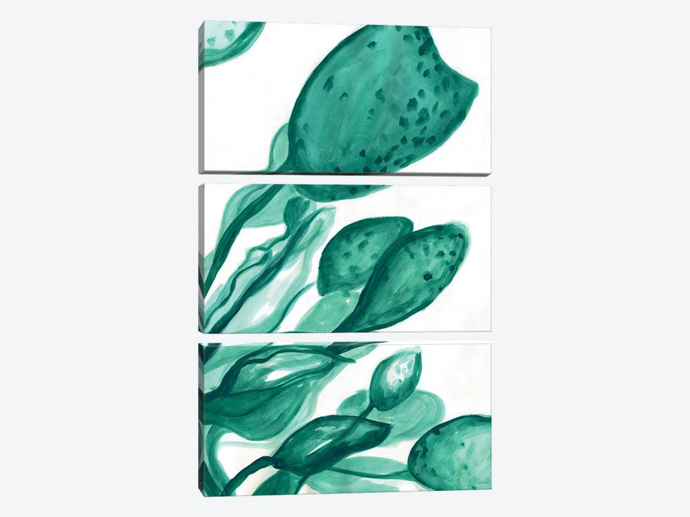 Just A Little More Water by Kamdon Kreations 3-piece Art Print