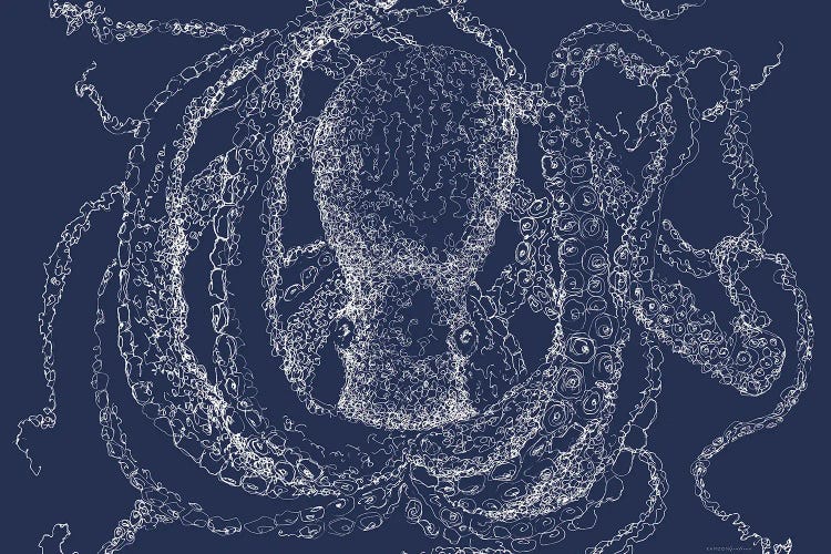 Octo Scribble by Kamdon Kreations wall art