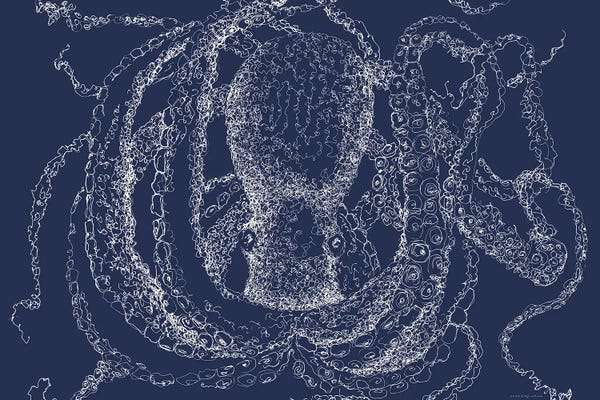 Octopi: Octo Scribble by Kamdon Kreations